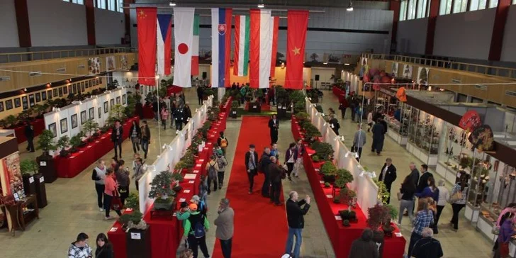 Výstava Gardenia Domexpo Solaris Nitra 2015