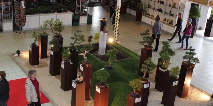 Výstava Gardenia Domexpo Solaris Nitra 2015