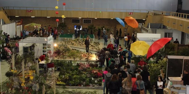 Výstava Gardenia Domexpo Solaris Nitra 2015