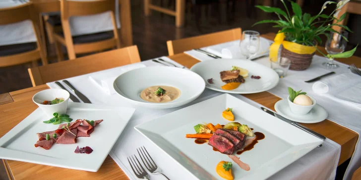 Gurmánske 5-chodové TASTING MENU s degustačnými vzorkami vína v reštaurácii ELESKO + vstup do ZOYA MUSEUM
