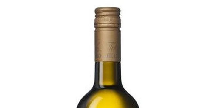 Gurmánske 5-chodové TASTING MENU s degustačnými vzorkami vína v reštaurácii ELESKO + vstup do ZOYA MUSEUM