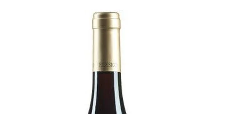 Gurmánske 5-chodové TASTING MENU s degustačnými vzorkami vína v reštaurácii ELESKO + vstup do ZOYA MUSEUM