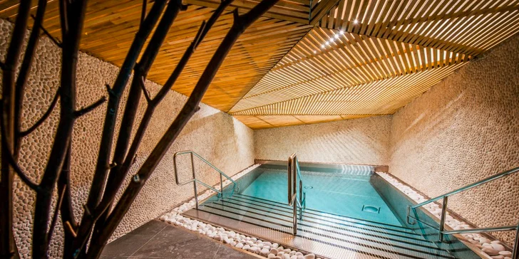 Wellness pobyt so vstupom do ThermalParku Šírava, 1 dieťa do 12 rokov zadarmo