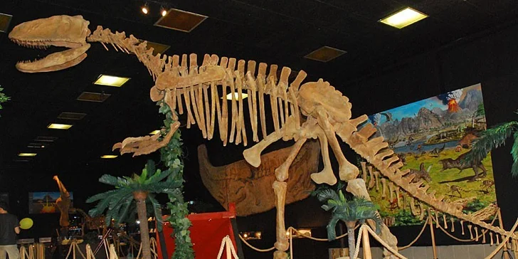 Obľúbený detský tábor Po stopách Tatranských dinosaurov, veľa zážitkov, 3 celodenné výlety a kvalifikovaní animátori!