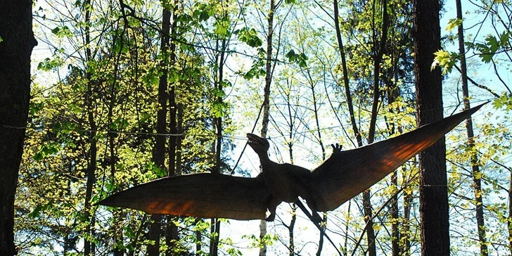Obľúbený detský tábor Po stopách Tatranských dinosaurov, veľa zážitkov, 3 celodenné výlety a kvalifikovaní animátori!