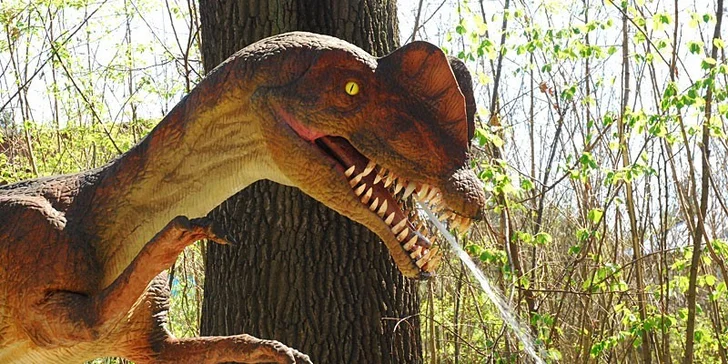 Obľúbený detský tábor Po stopách Tatranských dinosaurov, veľa zážitkov, 3 celodenné výlety a kvalifikovaní animátori!
