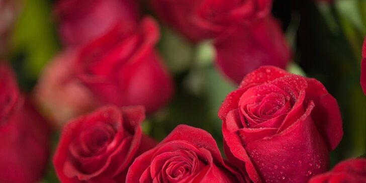 Kúsok tajomna aj romantiky: zájazd na zámok Mayerling aj na festival ruží v Badene