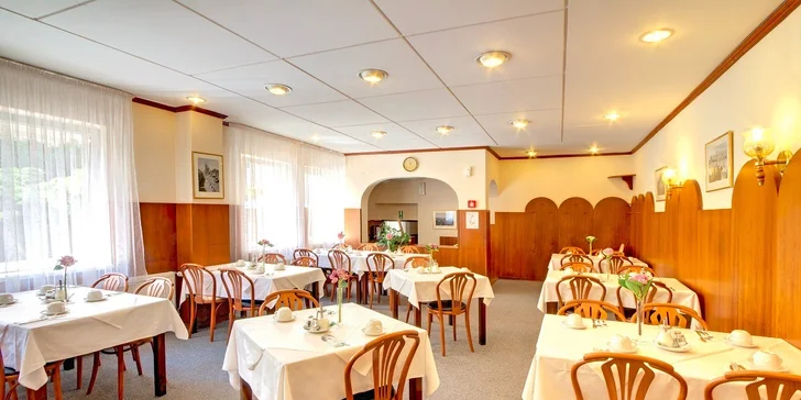 Hotel BÍLÝ LEV*** Praha len 15 minút pešo od Václaváku