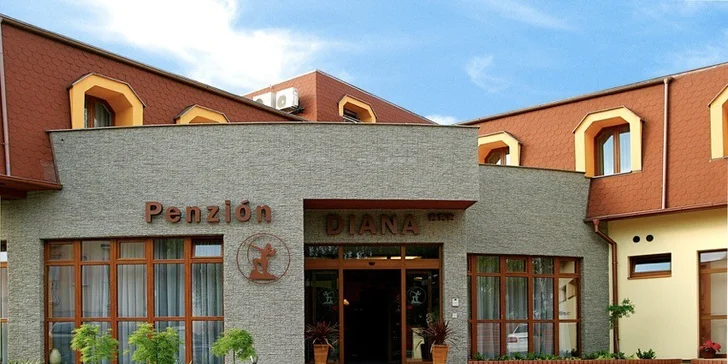 Wellness pobyt v centre kúpeľného mesta s polpenziou, masážou a neobmedzeným wellness