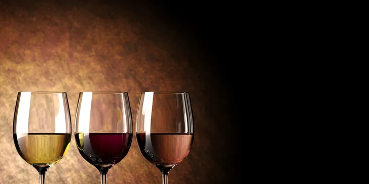 Degustácia "S chuťou leta" pod klenbami Citadela Wine & Art Gallery a Národného salónu vín SR Košice