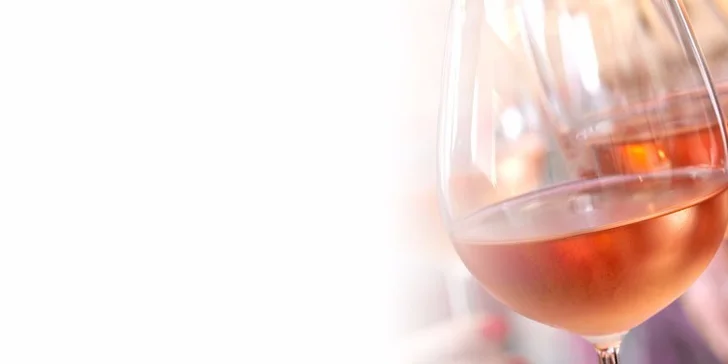 Degustácia "S chuťou leta" pod klenbami Citadela Wine & Art Gallery a Národného salónu vín SR Košice