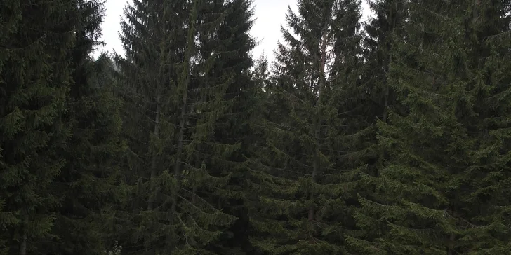 Dovolenkujte so svojou rodinou na Donovaloch a objavte krásy Slovenska