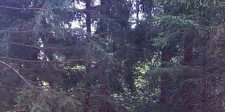 Dovolenkujte so svojou rodinou na Donovaloch a objavte krásy Slovenska