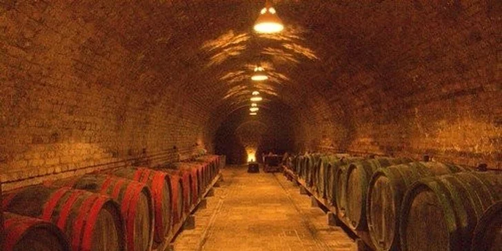 Dokonalý relax na juhoslovenskom vidieku pre 2 osoby s ochutnávkou vín + zvýhodnené podmienky pre deti