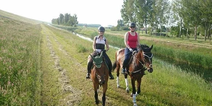 Jazdecký kurz: 1, 5 alebo 10 lekcií