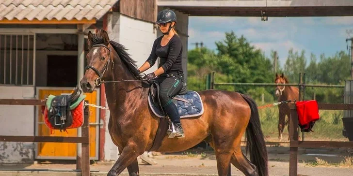 Jazdecký kurz: 1, 5 alebo 10 lekcií