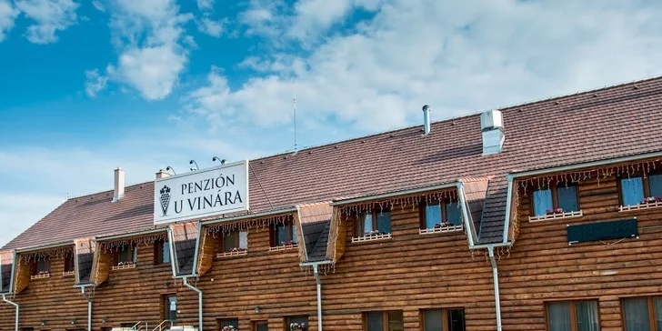 Pobyt v PENZIÓNE U VINÁRA s polpenziou, degustáciou vína MOVINO a výhodným vstupom do wellness. Dieťa do 5 rokov zadarmo.