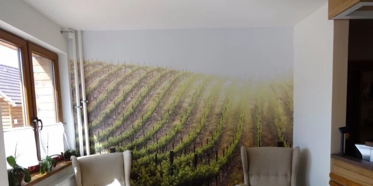 Pobyt v PENZIÓNE U VINÁRA s polpenziou, degustáciou vína MOVINO a výhodným vstupom do wellness. Dieťa do 5 rokov zadarmo.