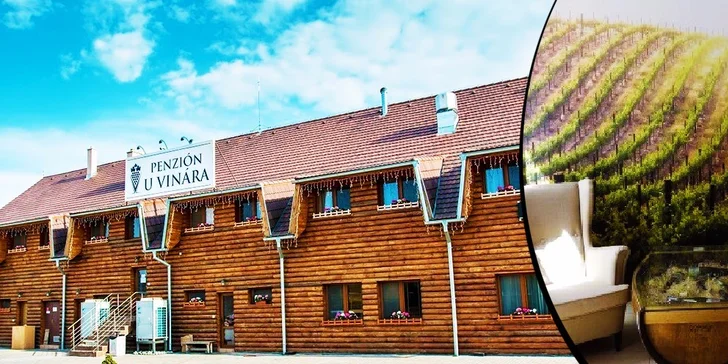 Pobyt v PENZIÓNE U VINÁRA s polpenziou, degustáciou vína MOVINO a výhodným vstupom do wellness. Dieťa do 5 rokov zadarmo.