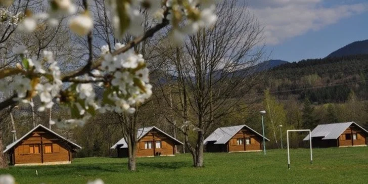 Pobytový a dochádzkový jazykový tábor