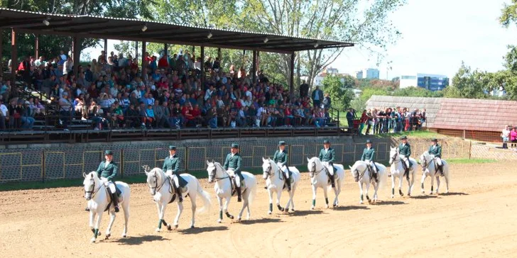 Vstupenka na výstavu AGROKOMPLEX 2015
