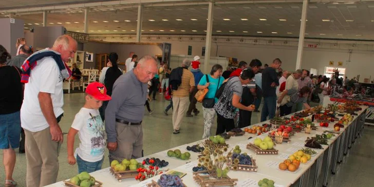 Vstupenka na výstavu AGROKOMPLEX 2015