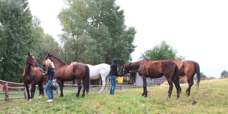 Vstupenka na výstavu AGROKOMPLEX 2015