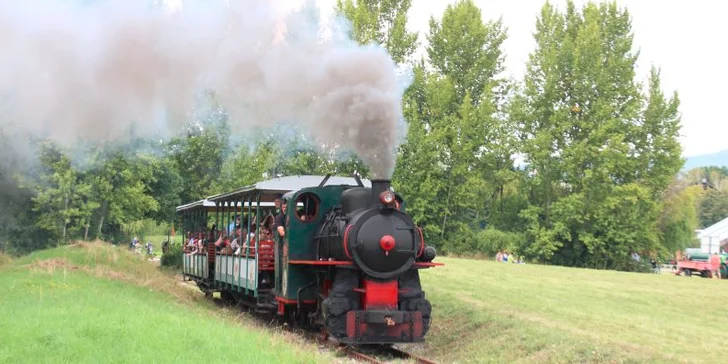Vstupenka na výstavu AGROKOMPLEX 2015
