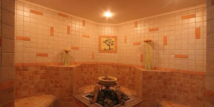 Nezabudnuteľná letná wellness dovolenka v Nezábudke*** s polpenziou alebo ALL INCLUSIVE, Vysoké Tatry, platnosť do konca roka!