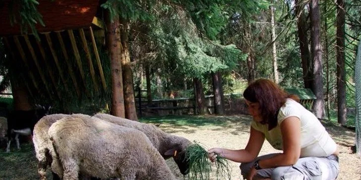 Nezabudnuteľná dovolenka v Nezábudke***, Vysoké Tatry
