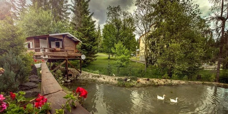Nezabudnuteľná dovolenka v Nezábudke***, Vysoké Tatry
