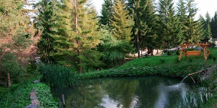Nezabudnuteľná dovolenka v Nezábudke***, Vysoké Tatry