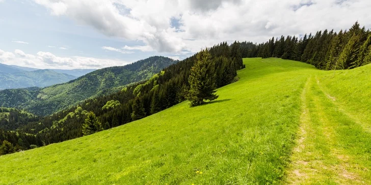 Lanovka a adrenalínová jazda na kolobežkách z Malina Brda