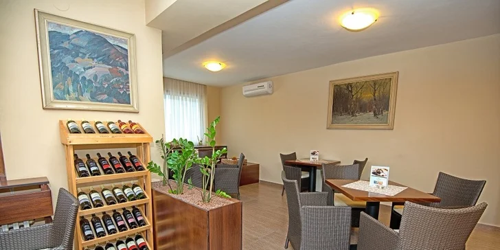 Exkluzívny medical & wellness pobyt v hoteli Park***+ v Piešťanoch na 4 alebo 6 dní, deti do 6 rokov zdarma. Predaj len do 6.12.2015!