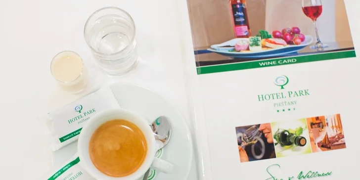 Exkluzívny medical & wellness pobyt v hoteli Park***+ v Piešťanoch na 4 alebo 6 dní, deti do 6 rokov zdarma. Predaj len do 6.12.2015!