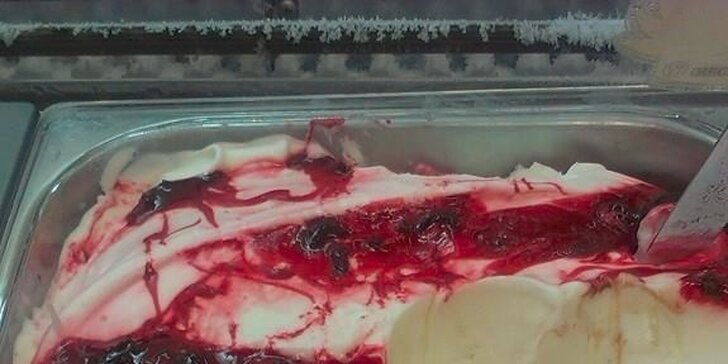 Domáca smotanovo-ovocná zmrzlina pri Avione