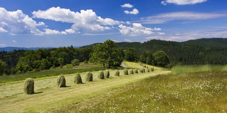 Špičkovo vybavené chaty s wellnessom pre 8–10 osôb