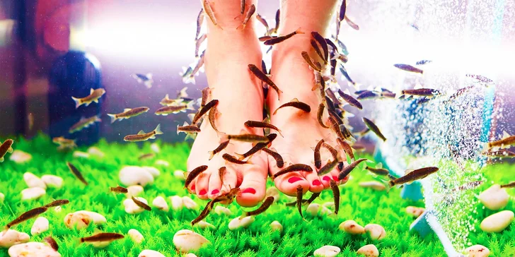 Biomanikúra a biopedikúra s rybičkami Garra rufa