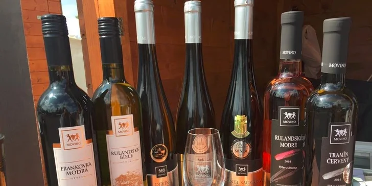 Pobyt v PENZIÓNE U VINÁRA s polpenziou, degustáciou vína a wellness. Kačacie hody a burčiak