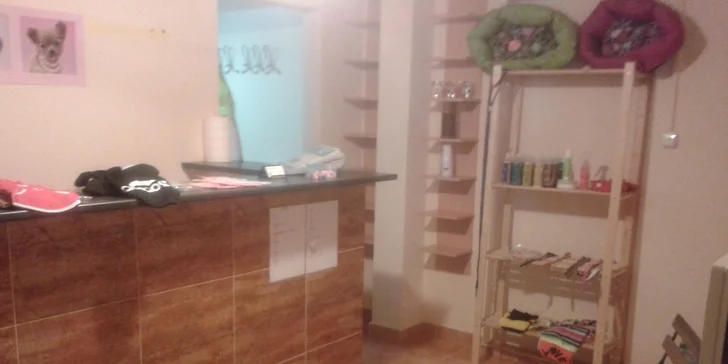 Kompletná starostlivosť o vášho psíka v psom salóne Labku na to