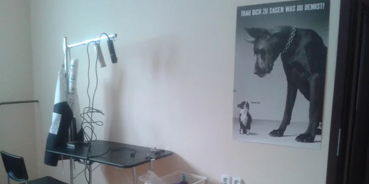Kompletná starostlivosť o vášho psíka v psom salóne Labku na to
