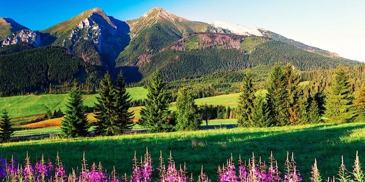 Dokonalý relax v tatranskej prírode pre dvoch alebo celú rodinu s polpenziou a saunou
