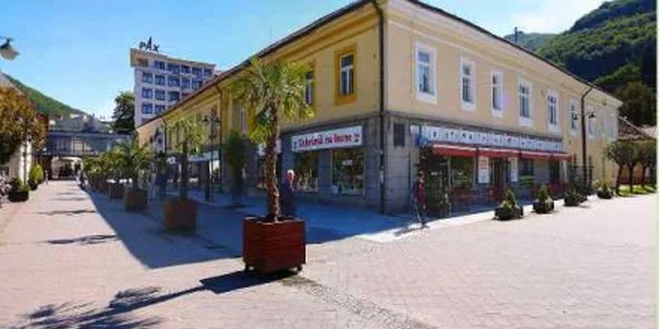 69 EUR za relaxačný pobyt v hoteli FLÓRA*** v Trenčianskych Tepliciach. Dokonalý relax v kúpeľnom meste, teraz so zľavou 50%!