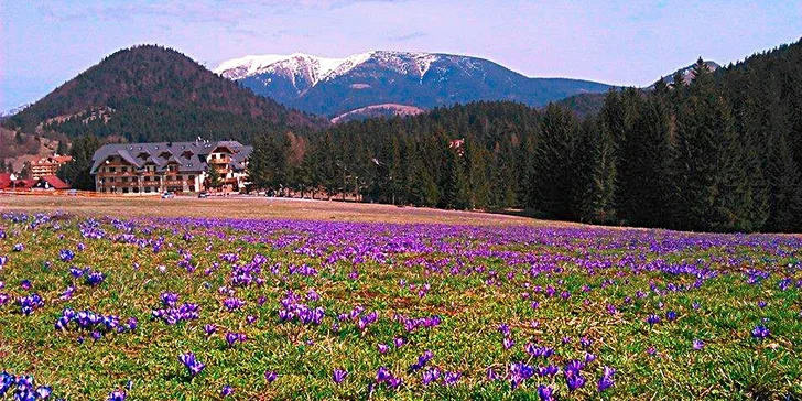Jarná, letná či jesenná idylka na Donovaloch v Apartmánovom dome Kamzík