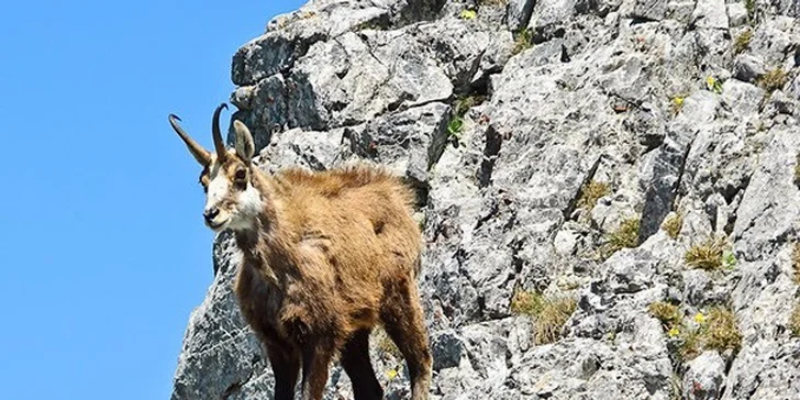 Krásna jeseň v Tatrách v útulnom penzióne High Tatras + dieťa do 4 rokov zadarmo!