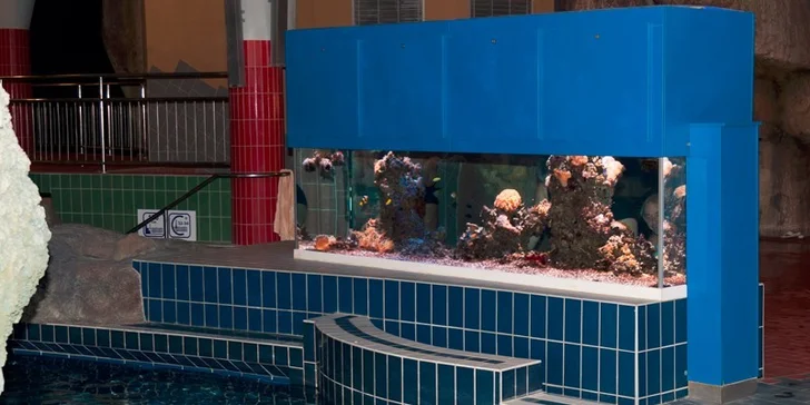 Rodinný wellness pobyt s plnou penziou a možnosťou návštevy úžasného aquaparku Aqua Palace