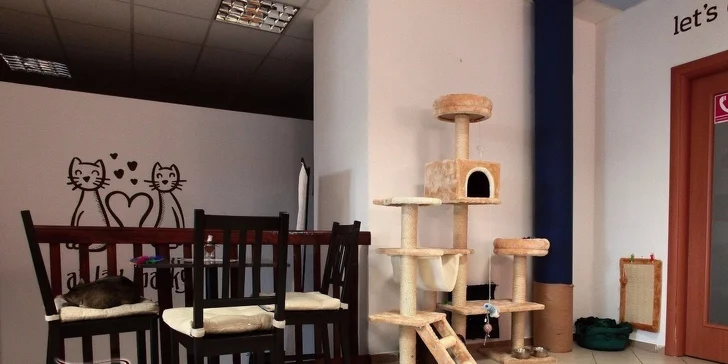 Káva alebo čínsky čaj s koláčikom v Mačkafé klub