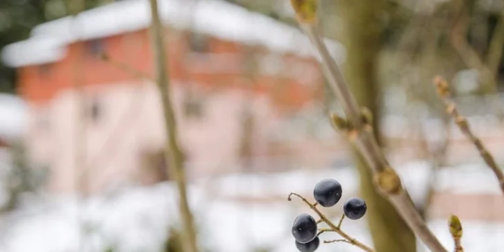 Wellness pobyt v Rajeckej doline. Tretia osoba na prístelke za zvýhodnených podmienok