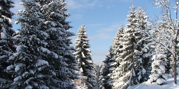 Aktívna rodinná dovolenka so špičkovým wellness pre 4 až 6 osôb v prekrásnom rezorte HOLIDAY PARK ORAVA***