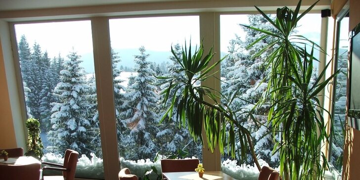 Zimná dovolenka so špičkovým wellness pre 4 až 6 osôb v prekrásnom prírodnom rezorte HOLIDAY PARK ORAVA***